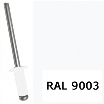 Детальная картинка товара «заклёпка вытяжная 4,8*10 ярк-бел ral 9003 (100шт)»