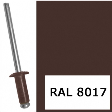 Детальная картинка товара «заклёпка вытяжная 4,8*12 шок-кор ral 8017 (100шт)»